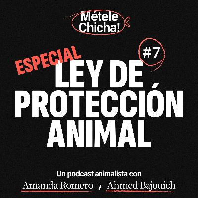 Métele chicha - Especial Ley de Protección Animal Métele chicha - Especial Ley de Protección Animal