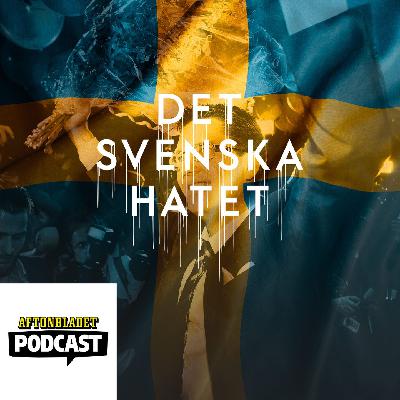 Del 27 SD röstas in i riksdagen