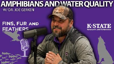 Frogs, Salamanders, and Water Quality Frogs, Salamanders, and Water Quality