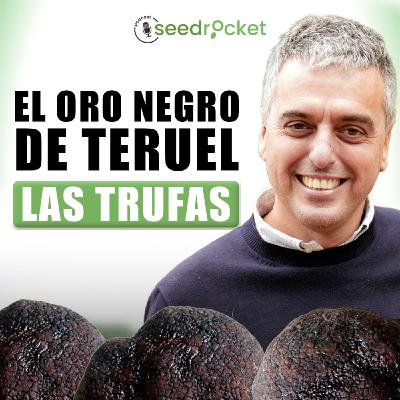 Invertimos en trufas negras: el oro agrícola que puede dar 70.000€ por hectárea | Marc Ferran