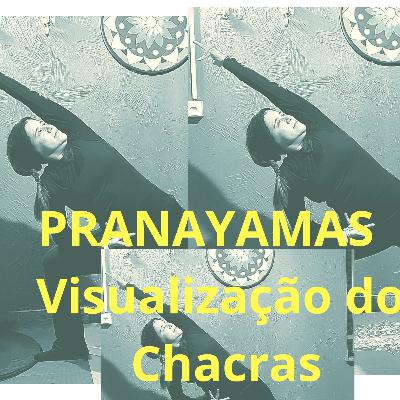 PRANAYAMAS e Visualização dos chacras
