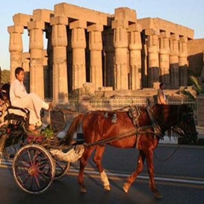 الطبقة المنسية في الأقصر الطبقة المنسية في الأقصر