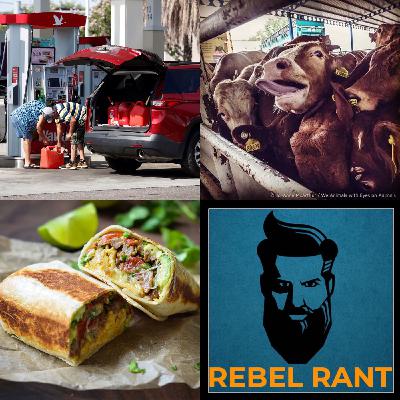 Episode 41 - Panic Buying, Big Farma, and Breakfast Burritos