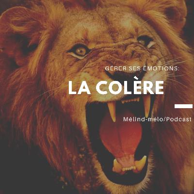 Gérer ses émotions: La COLÈRE.                      (Méthode filtre)