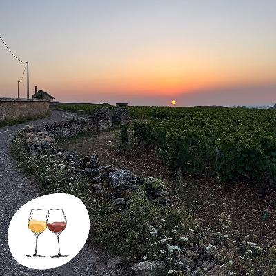 #S21 Eine Weinreise durch Frankreich – von der Champagne über die Loire bis ins Burgund