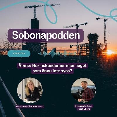 66. Hur riskbedömer man något som ännu inte syns?