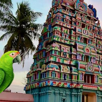 Divya Desam Series : Loganatha Damodara Narayana Perumal Temple in Thirukannankudi in Nagapattinam Tamilnadu India Divya Desam Series : Loganatha Damodara Narayana Perumal Temple in Thirukannankudi in Nagapattinam Tamilnadu India