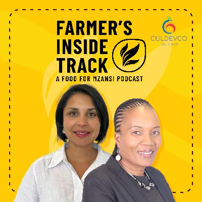 Culdevco and Cultipowered drive inclusive growth in SA’s fruit industry