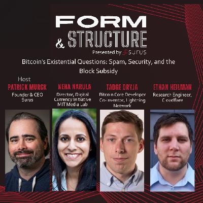 Bitcoin's Existential Questions: Spam, Security, and the Block Subsidy