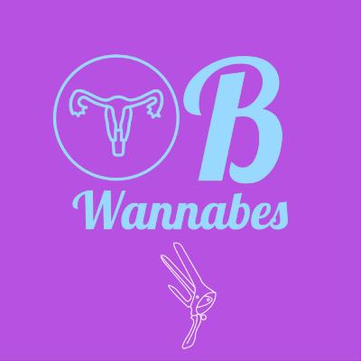Episode 1: What is OBGYN?