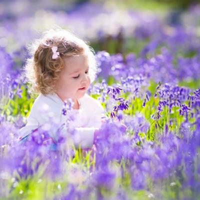 Dancing Bluebells Dancing Bluebells