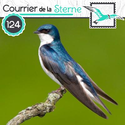 CDLS#124 : Les ailes d'aciers