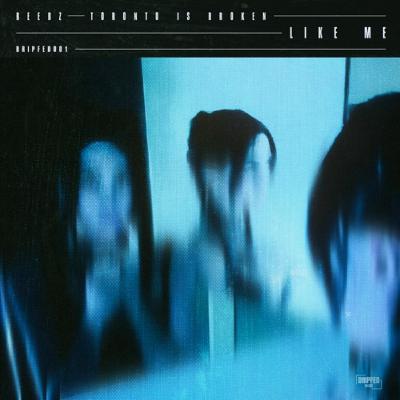 Shellshocked Radio Recommendations - REEBZ & Toronto Is Broken - Like Me - Industrial Nu Metal Sound #reebz #toronto #broken #likeme #industrial #numetal #soundscape #female #vocals #music #981