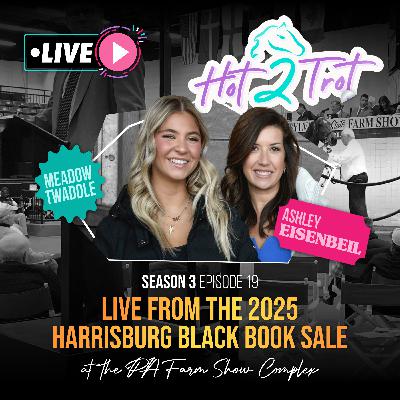 Live from the 2025 Harrisburg Black Book Sale at the PA Farm Show Complex