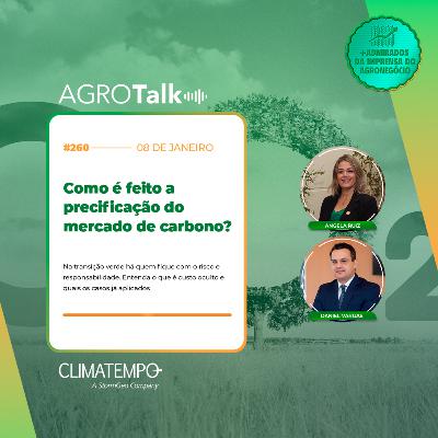 #260 Como é feita a precificação do mercado de carbono? #260 Como é feita a precificação do mercado de carbono?