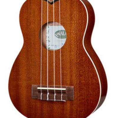 Como llego el Ukulele a Mi vida