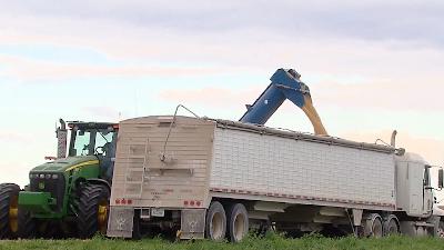 USDA's First WASDE Report Since September Yields Mixed Results