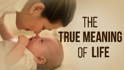 The True Meaning of Life - David Tian's Personal Journey (So Far) The True Meaning of Life - David Tian's Personal Journey (So Far)