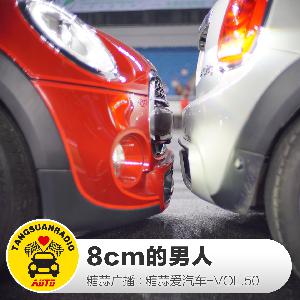 糖蒜爱汽车：8cm的男人