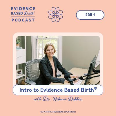 EBB 1: Intro to Evidence Based Birth®