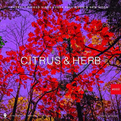Citrus & Herb 002- Fall Colours-Super Moon Citrus & Herb 002- Fall Colours-Super Moon