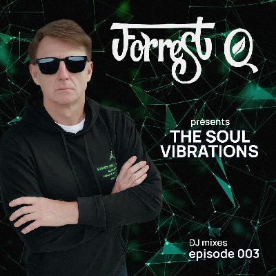 Forrest Q - The Soul Vibrations #3