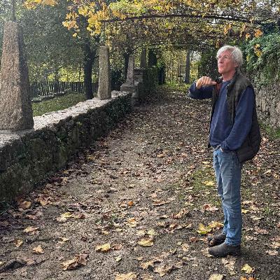 Is Vinho Verde an Underdog in the Wine World?