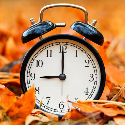 Episode 483: Fall Back Episode 483: Fall Back