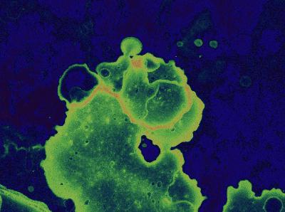 Jövőzene kollektívaN: Dj Titusz - X-MASS MELANCHOLICA [Jövőzene kollektívaN#099]