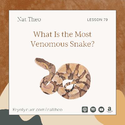 What Is the Most Venomous Snake? Lesson 79