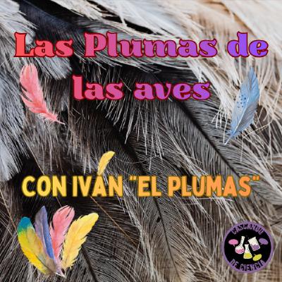 18. Las plumas de las aves. Con Iván "El Plumas"