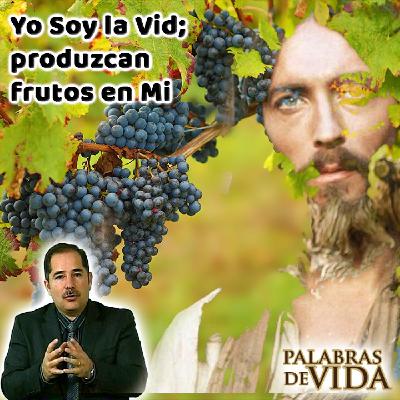 Yo soy la vid; produzcan frutos en Mi - Palabras de Vida