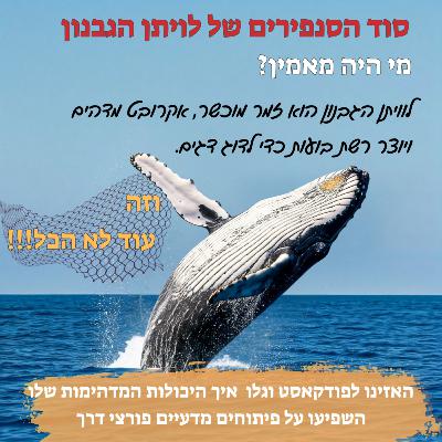 סוד הסנפירים של לוויתן הגבנון