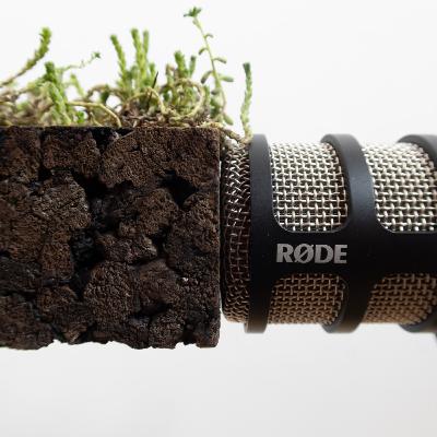 24 Bio Based Isoleren Introductie