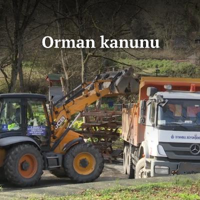 Orman kanunu | 24 Aralık 2024, Salı Orman kanunu | 24 Aralık 2024, Salı