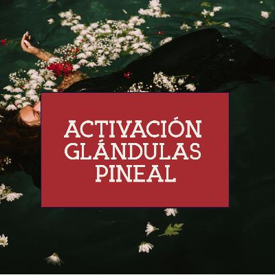 Meditación Registros Akashicos