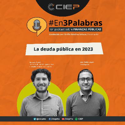 La deuda pública en 2023