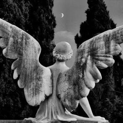 Morir Para Vivir / Frater Abrakadab (Pesnamiento) Morir Para Vivir / Frater Abrakadab (Pesnamiento)