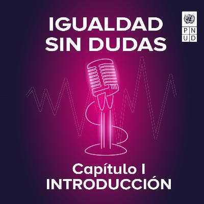 Igualdad sin dudas. Capítulo I: Introducción