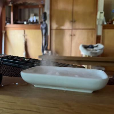 #6 我が家は！ネガティヴシンキングの末裔！！！