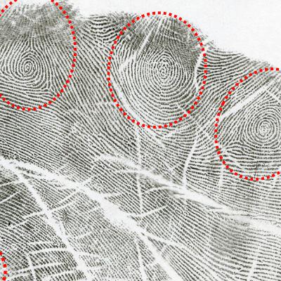 Episode 289 - Angela Tonietto Interview - Palm Patterns