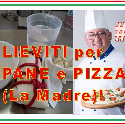 #23 - LIEVITO Madre per PIZZA e PANE