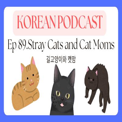 Korean Podcast Ep 89.Stray Cats and Cat Moms | 캣맘과 길고양이