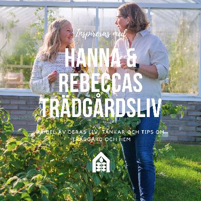 Avsnitt 132 – Köksträdgården, frukt & bär