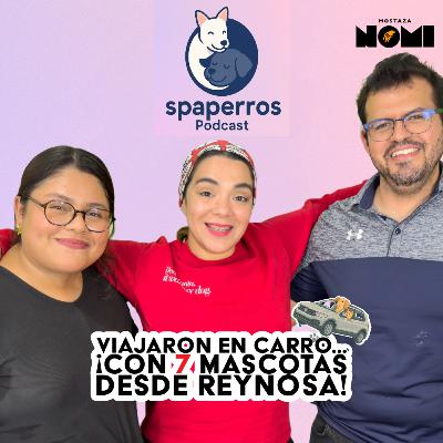 La mudanza de 7 mascotas desde Reynosa en un solo carro
