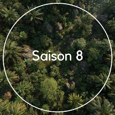 Saison 8 - C'est parti ! 🍌