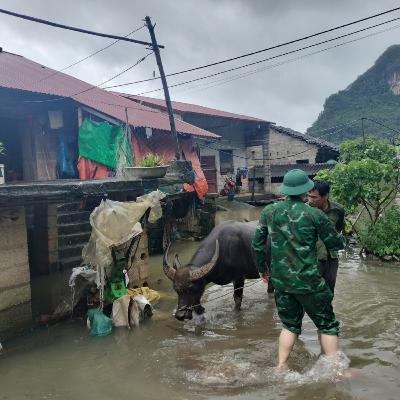 Tin trong nước - Cao Bằng: 4 người thương vong, 3 người mất tích do mưa lũ