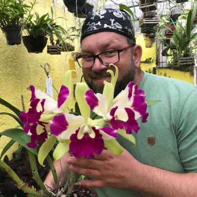 A iluminação que fará sua orquídea florescer!!
