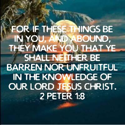 Entrevistamos a Noel Pérez Brey, autor de ‘Del cielo azul’ Entrevistamos a Noel Pérez Brey, autor de ‘Del cielo azul’