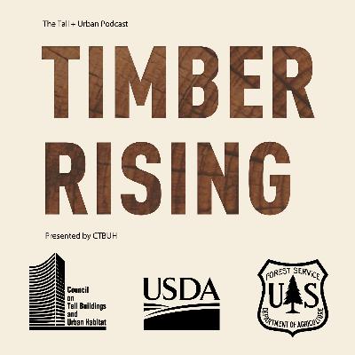 Ara Erickson: The Timber Industry, Forest Management, and Building Tall Ara Erickson: The Timber Industry, Forest Management, and Building Tall